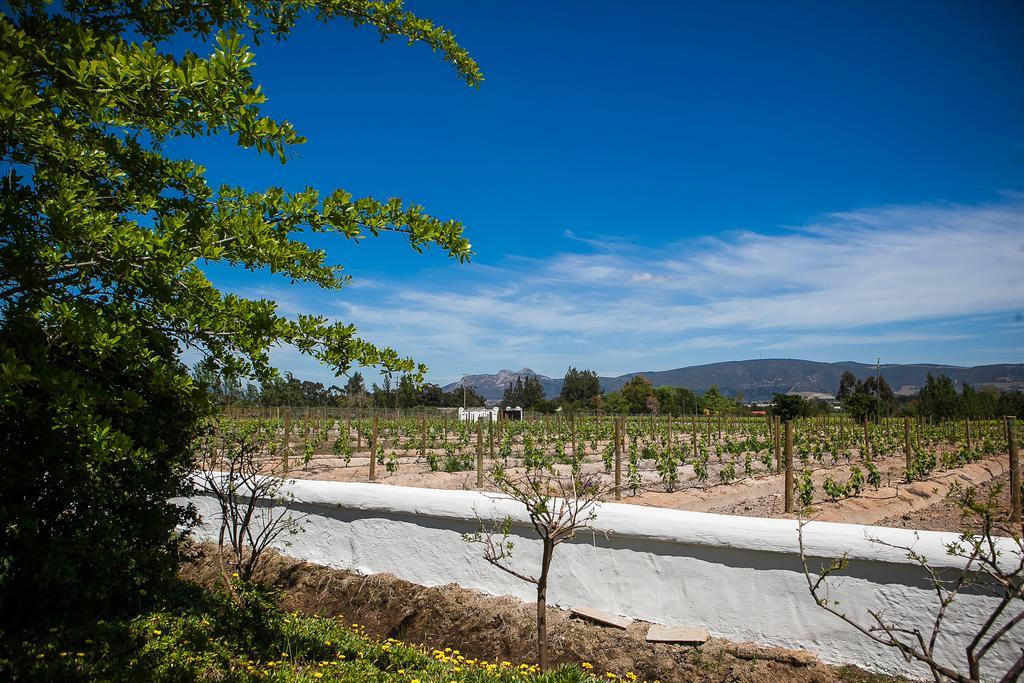 1692 De Kleijne Bos Country House Paarl Εξωτερικό φωτογραφία