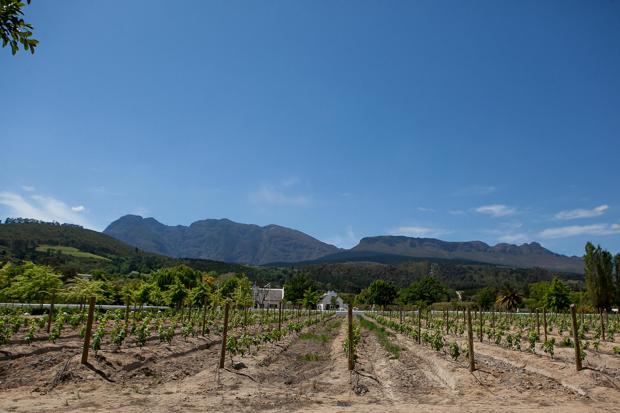 1692 De Kleijne Bos Country House Paarl Εξωτερικό φωτογραφία