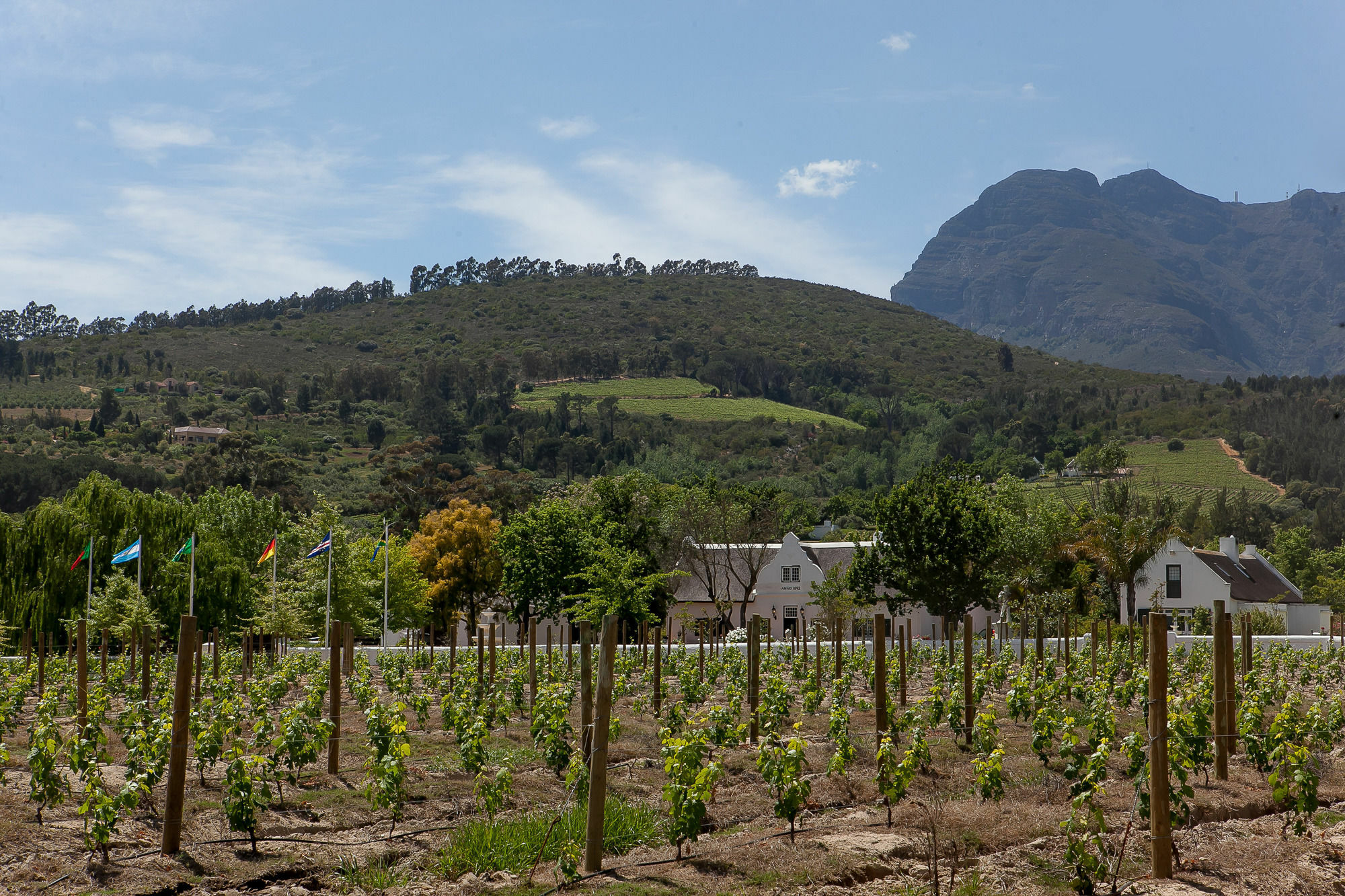 1692 De Kleijne Bos Country House Paarl Εξωτερικό φωτογραφία