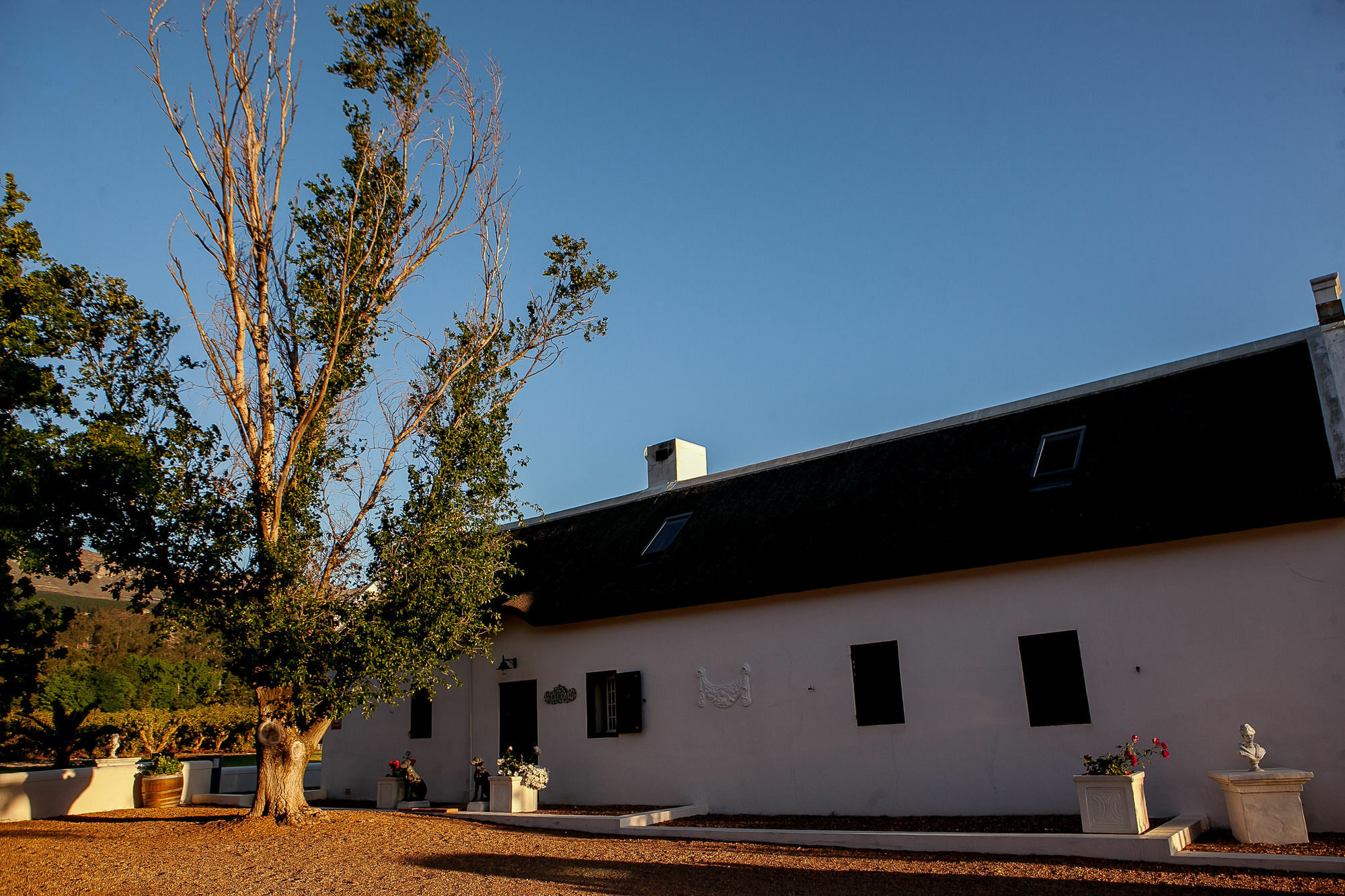 1692 De Kleijne Bos Country House Paarl Εξωτερικό φωτογραφία